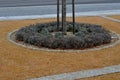 wire circular benches park furniture in winter. sintered gravel with Royalty Free Stock Photo