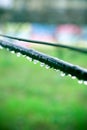 Wire detail with raindrops on an unfocused green background Royalty Free Stock Photo