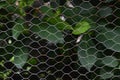 Wire fence Royalty Free Stock Photo