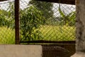 Wire Fence - Abandoned Chicken Coop - Green Countryside Garden Royalty Free Stock Photo