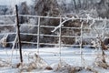 Wire fence covered in ice, in a snow country landscape Royalty Free Stock Photo