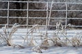 Wire fence covered in ice, in a snow country landscape Royalty Free Stock Photo