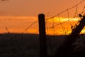 Fence Silhouetted Against Sunset