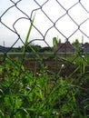 Wire fence of irregular rhomboids. Behind the fence are a garden and a view of the village houses