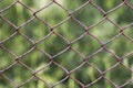 Wire fence
