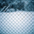 Wire fence with snow, Kolomenskoe, Moscow, Russia