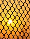 Wire fence with sun rise Royalty Free Stock Photo