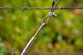 A wire fence with a turnbuckle.