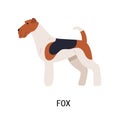 Wire Fox Terrier. Lovely dog of hunting breed with wiry coat, side view. Beautiful adorable purebred pet animal isolated