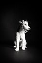 Wire fox terrier in the studio in monochrome Royalty Free Stock Photo