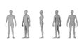 Wire frame of human bodies. Polygonal model on white background