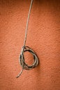 The wire loop hanging on the orange textured background Royalty Free Stock Photo