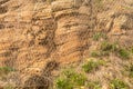 Wire mesh safety netting covers a cliff rockface Royalty Free Stock Photo