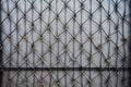 wire mesh screen on a house window Royalty Free Stock Photo