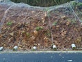 Wire net on the side of the road preventing and minimizing the risk of rocks falling from the hill on the cars and road ahead for Royalty Free Stock Photo