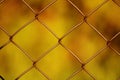 Wire netting