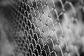 Wire netting - depth of field Royalty Free Stock Photo