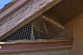 An easy barrier to keep birds from under the house eaves is to put up a wire screen. Royalty Free Stock Photo