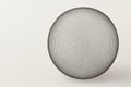 A wire sphere on a light background. Space for text. Royalty Free Stock Photo