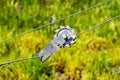 Wire Tension Hardware Royalty Free Stock Photo