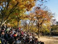 A wire-walker gets also called funambulism gets ready to perform at Korean Folk Village