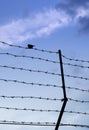 Wired fence with barbed wires Royalty Free Stock Photo