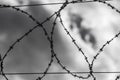 Wired fence with rolled barbed wires on white background.