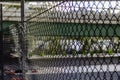 Wired mesh fence with background of overpass bridge