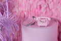 Wired old pink phone with a dial. Royalty Free Stock Photo
