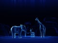 wireframe of 3d model low polygon Elephants, deer, giraffe.3D renderin