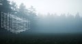 Wireframe data cube floats over a mysterious foggy forest Royalty Free Stock Photo