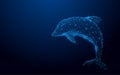 Wireframe dolphin mesh from a starry on blue background Royalty Free Stock Photo