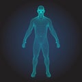 3D wireframe human body