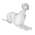 Wireframe labrador dog from black lines isolated on white background. 3D. Vector illustration Royalty Free Stock Photo