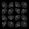 Wireframe lined shapes. Perspective mesh, 3d grid. Low poly geometric elements. Retro futuristic design elements, y2k