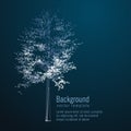 Wireframe mesh image of tree. Low poly background. Composed of polygon. Illustration consists of lines, dots and shapes. Wireframe Royalty Free Stock Photo
