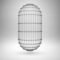 Wireframe mesh polygonal capsule