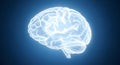 Wireframe outline of a human brain on blue background Royalty Free Stock Photo