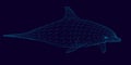 Wireframe of the polygonal dolphin of blue lines on a dark background. 3D. Side view. Vector illustration