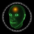 Wireframe Rendering of a Man`s Head