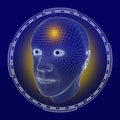 Wireframe Rendering of a Man`s Head