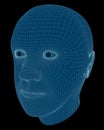 Wireframe Rendering of a Man's Head