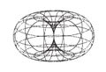Wireframe torus 3d. Vector shape of torus field