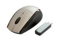 Wireless mouse