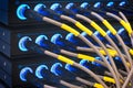 Wires connected to the network server, optical fiber. Network cables closeup with fiber optical background Royalty Free Stock Photo