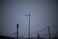 Wires on pole. Electrical wires on background of gray sky. Depressing look Royalty Free Stock Photo