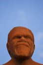 Wirin face closeup isolated on blue sky background