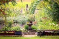 Wisconsin Birds Playing and Bathing in Backyard Garden Water Fountain