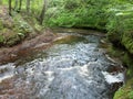 Wisconsin Creek Royalty Free Stock Photo