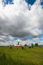 Wisconsin Dairy Farm Cows, Cow Royalty Free Stock Photo